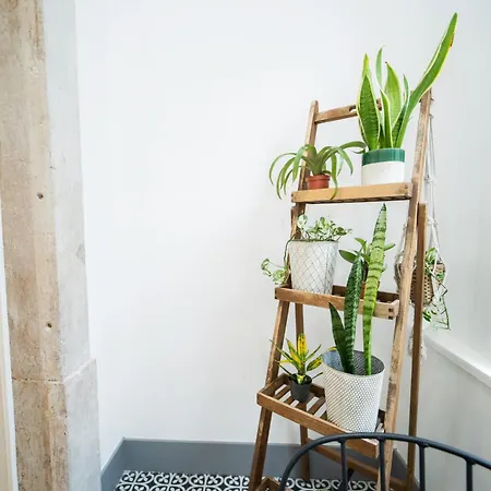 Bairro Novo - Local Πανσιόν Figueira da Foz