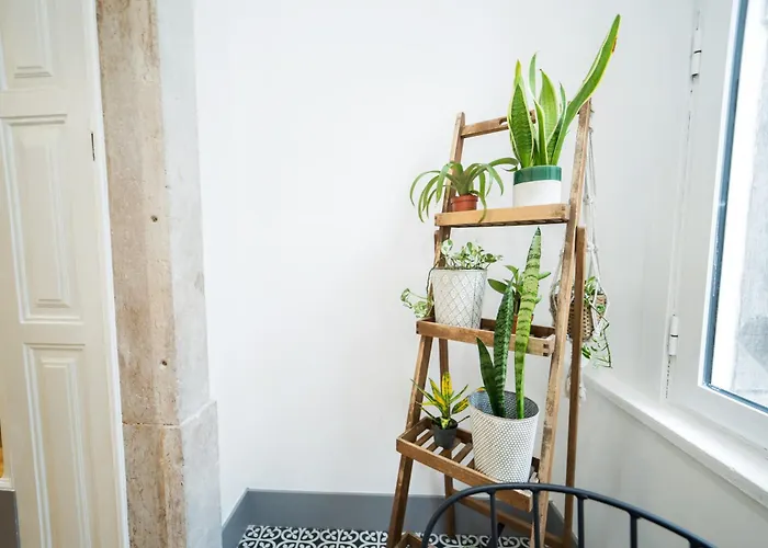 Bairro Novo - Local Гостевой дом Фигейра-да-Фош